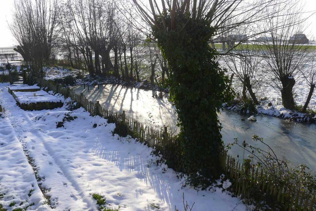 Bonjour Clara * Alveringem